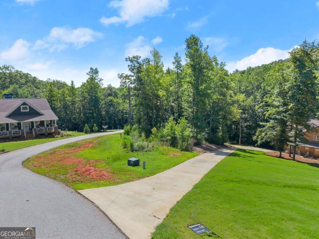 Land for sale in Georgia