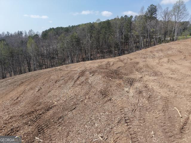 Land for sale in Pickens, Georgia
