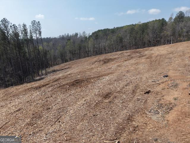 Land for sale in Gordon, Georgia