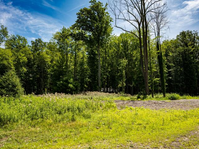 Land for sale in Michigan