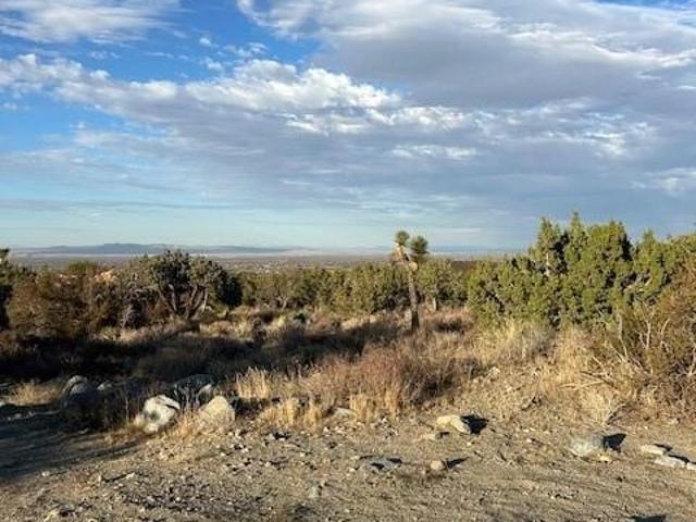 Land for sale in Pinon Hills, California