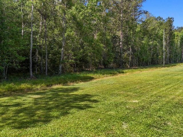 Land for sale in Walker, Louisiana