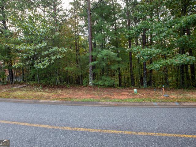 Land for sale in Helen, Georgia