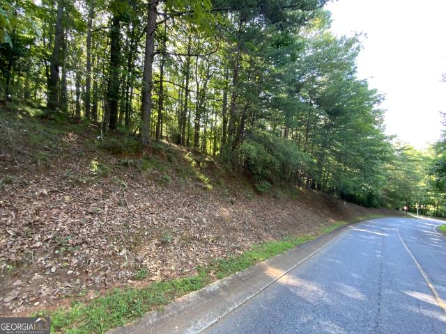 Land for sale in Helen, Georgia