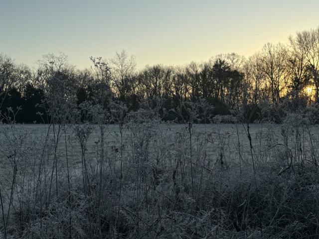 Farm for sale in Tennessee
