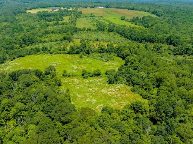 Property for sale in Columbia, Connecticut