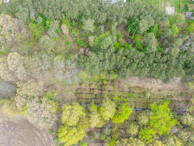 Land for sale in Bridgman, Michigan