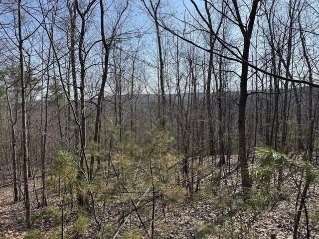 Land for sale in Warren, Massachusetts