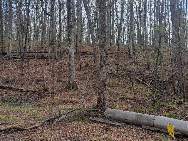 Land for sale in Tennessee