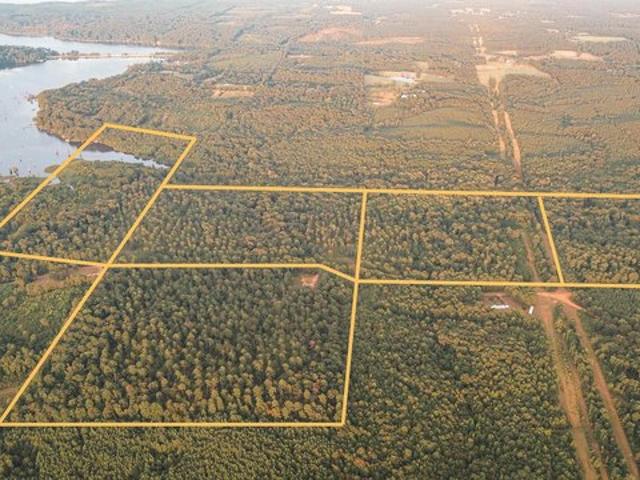 Land for sale in Farmerville, Louisiana