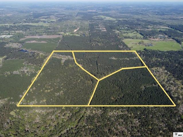 Land for sale in Choudrant, Louisiana