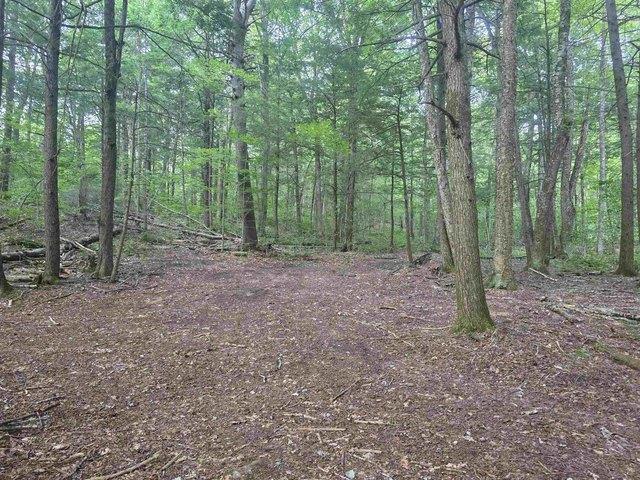 Land for sale in Townshend, Vermont