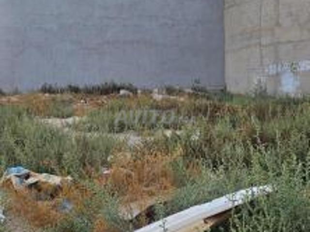 Propriété vente à Oujda وجدة, Préfecture d'Oujda-Angad عمالة وجدة - أنجاد
