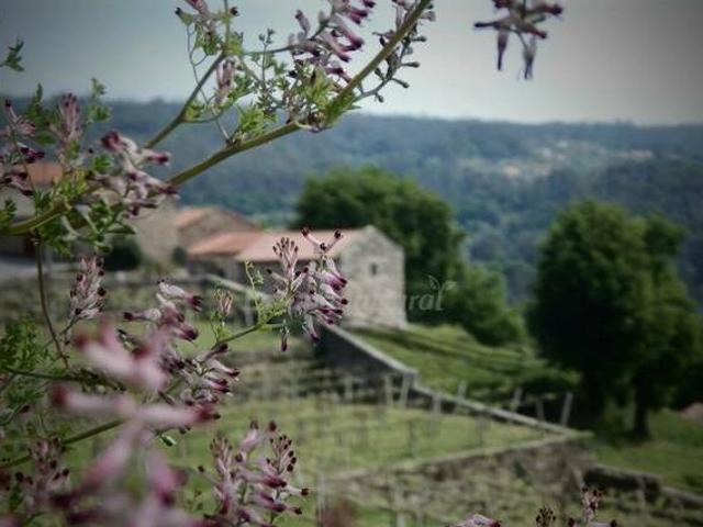Casa en alquiler en A Paradanta, Galicia