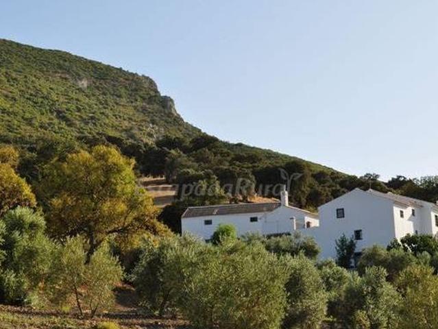 Casa en alquiler en Sierra de Cádiz, Andalucía