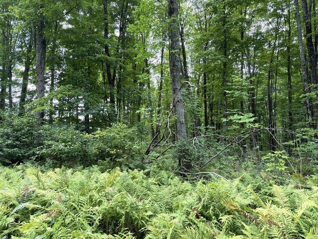 Land for sale in Goodman, Town of Goodman