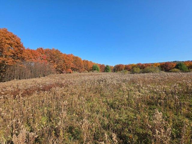 Land for sale in Town of Bainbridge, Chenango County