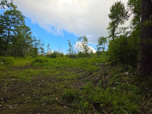 Land for sale in Cortland, New York
