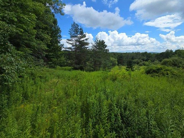Land for sale in Edmeston, New York