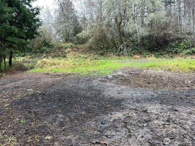 Land for sale in Raymond, Washington