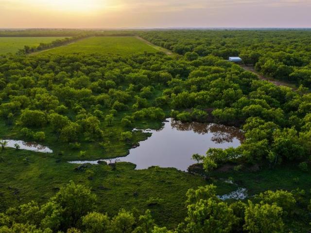 House for sale in Young County, Texas