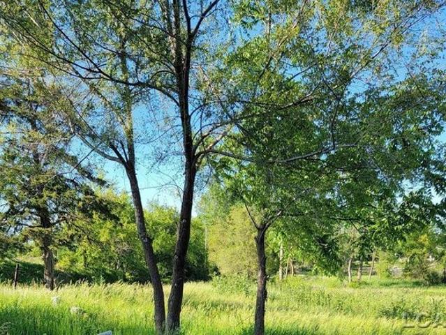 Land for sale in Onsted, Michigan