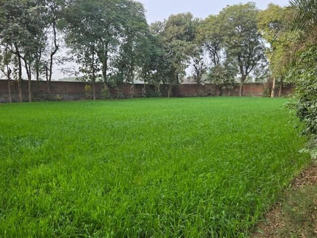 Land for sale in Ahmadabad, Gujarat