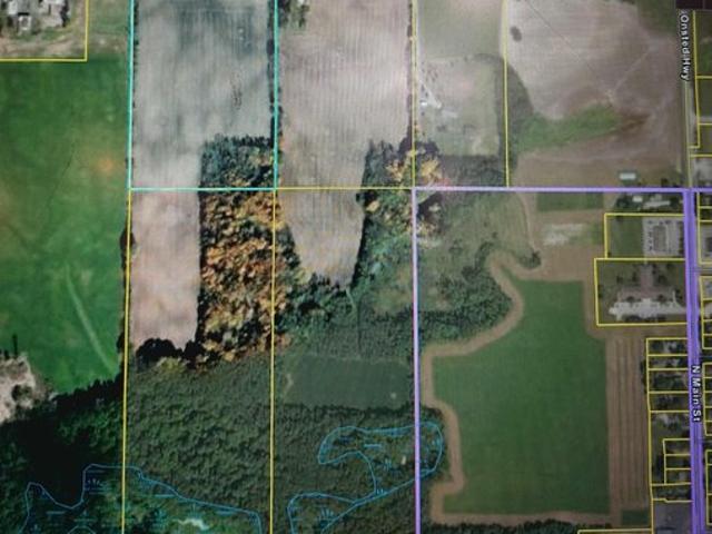 Land for sale in Onsted, Michigan
