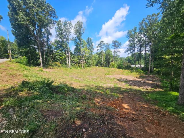 Land for sale in Tennessee
