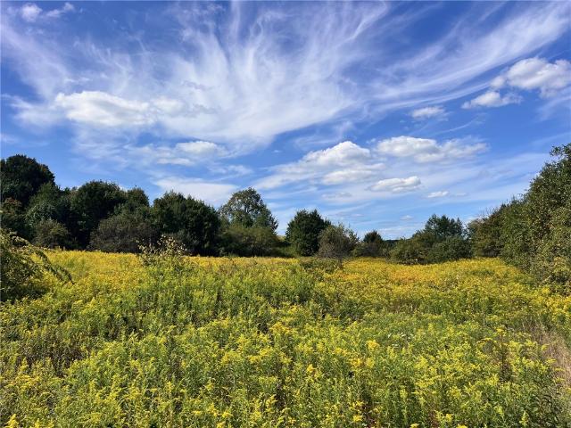 Land for sale in Little Valley, New York