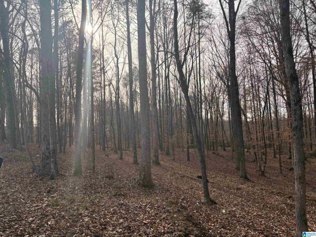 Land for sale in West Blocton, Alabama