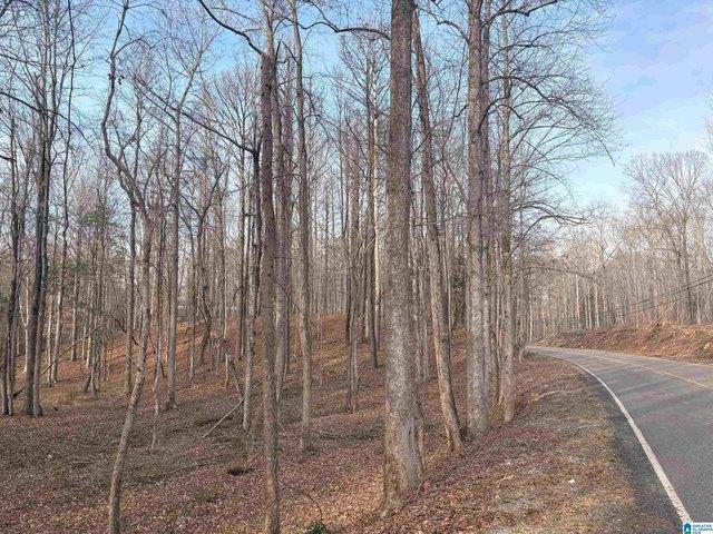 Land for sale in West Blocton, Alabama