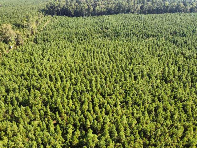 Land for sale in Ark