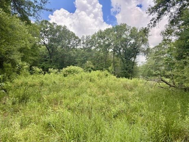 Land for sale in Vidor, Texas