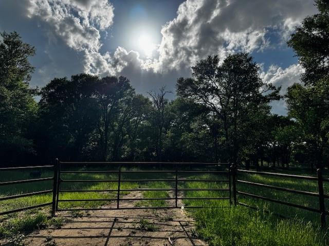 Land for sale in Wortham, Texas