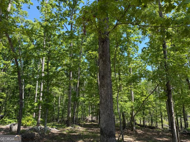 Land for sale in Lincolnton, Georgia