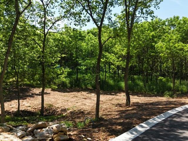 Land for sale in Richmond, Madison County