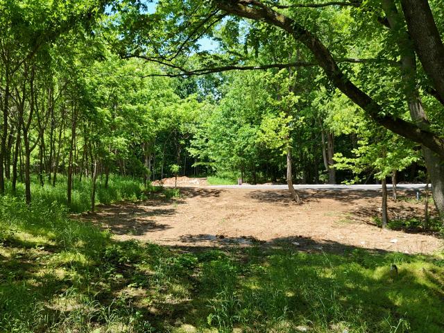 Land for sale in Richmond, Madison County
