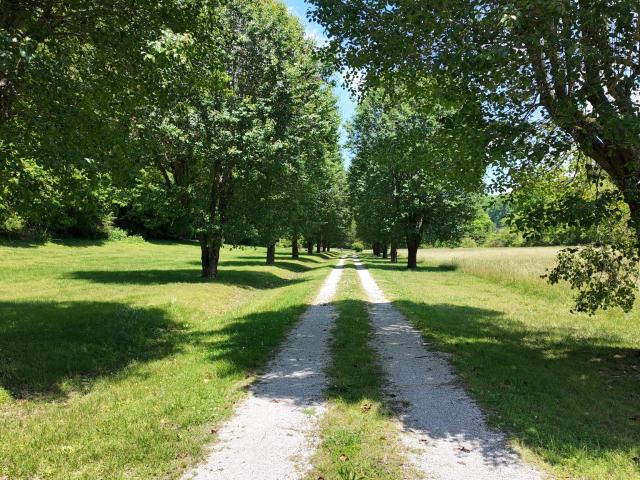 Farm for sale in Tennessee