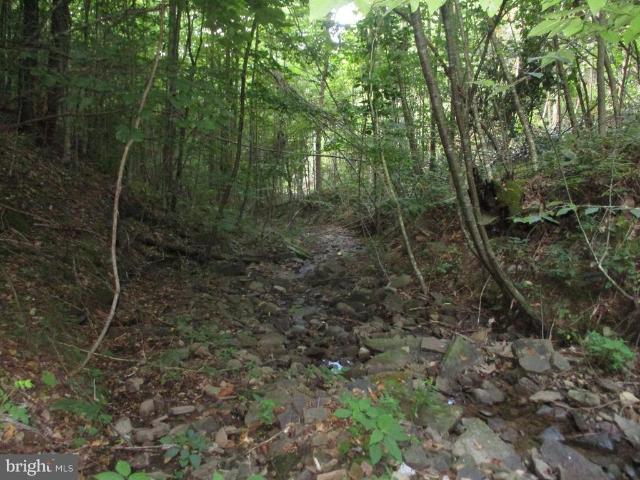 Land for sale in West Virginia