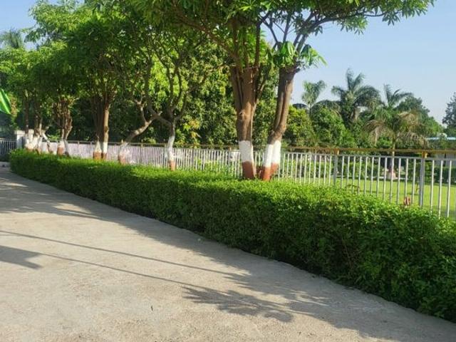 Land for sale in Mirzapur, Arunachal Pradesh