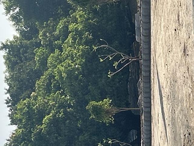 Land for sale in Kota, Rajasthan