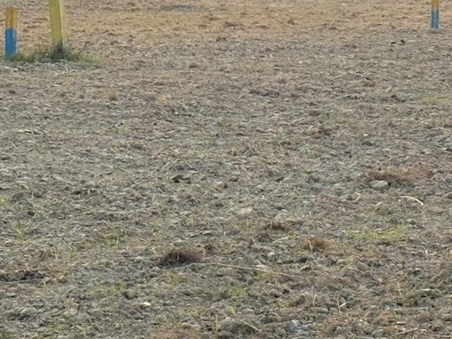 Land for sale in Bihar