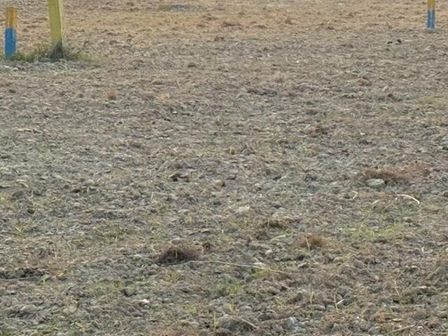 Land for sale in Bihar