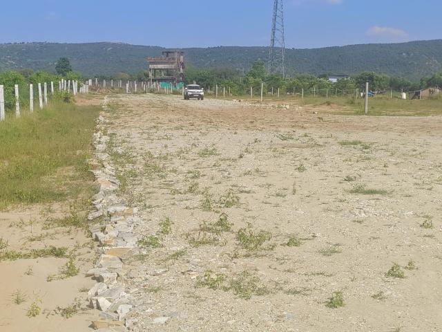Land for sale in Lakhana, Arunachal Pradesh