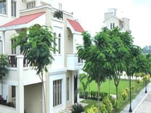 Land for sale in Madya
