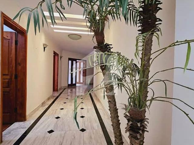 House for rent in North Waziristan, Federally Administered Tribal Areas fata