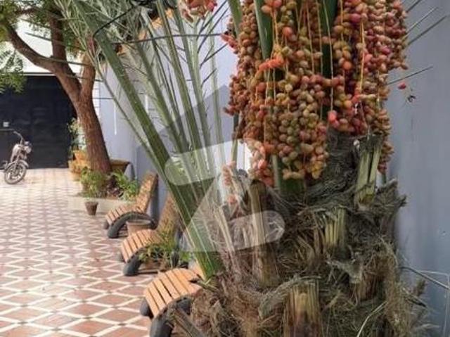 House for rent in North Waziristan, Federally Administered Tribal Areas fata