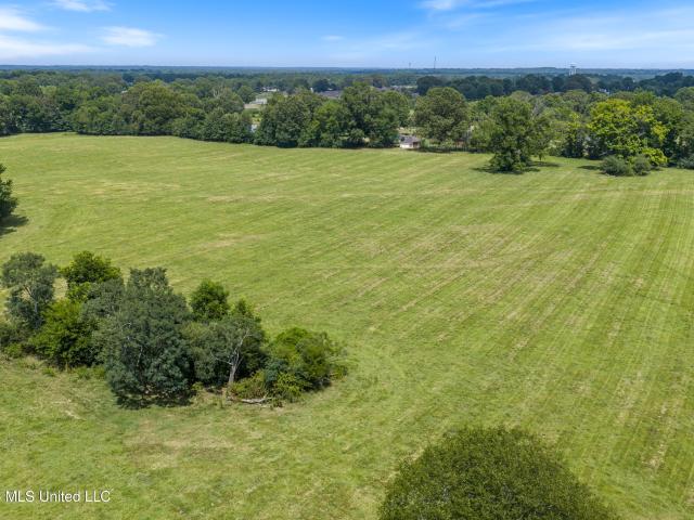 Land for sale in Tate, Mississippi