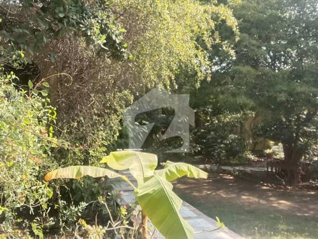 House for sale in North Waziristan, Federally Administered Tribal Areas fata